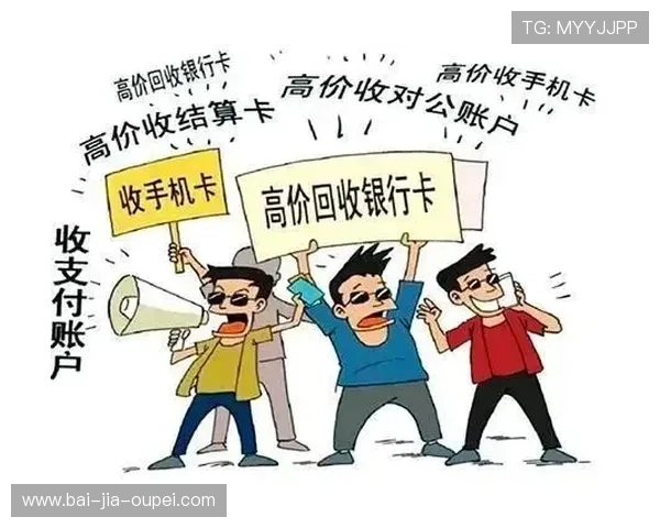 全职买波胆能赚钱吗 避坑防骗指南 全职买波胆能赚钱吗 避坑防骗指南